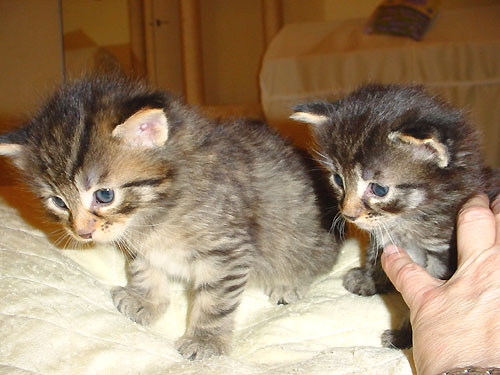 Voir photo en 1024 x 768