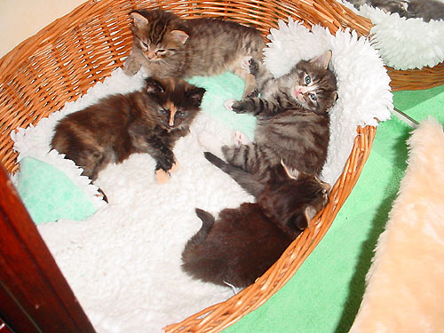 Voir photo en 1024 x 768