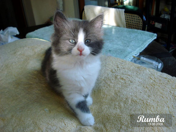 Larger view / Agrandir