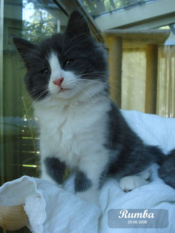 Larger view / Agrandir